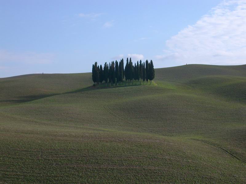 Immagini delle crete senesi....